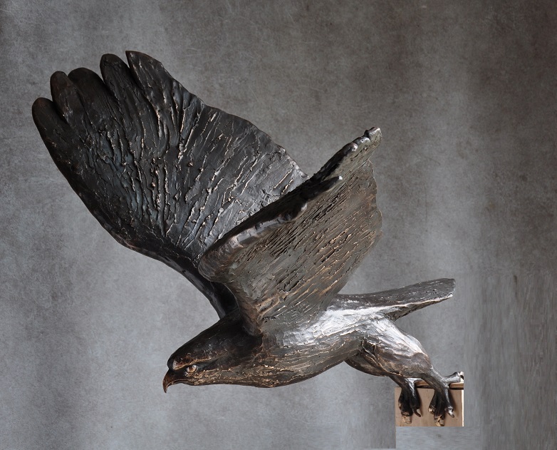 bronzen_buizerd