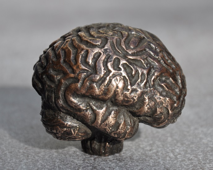 bronzen hersenen