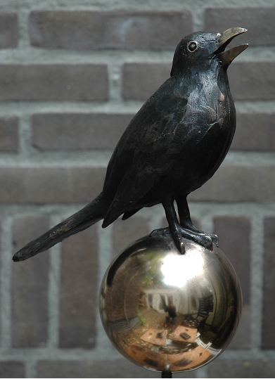 bronzen merel
